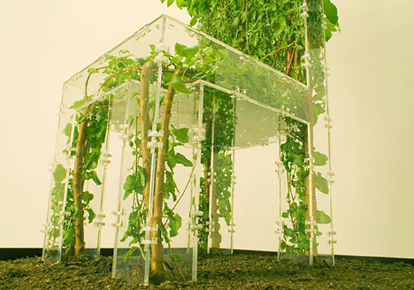 Растущий стул 26 зеленых дизайнерских идей, вдохновленных природой