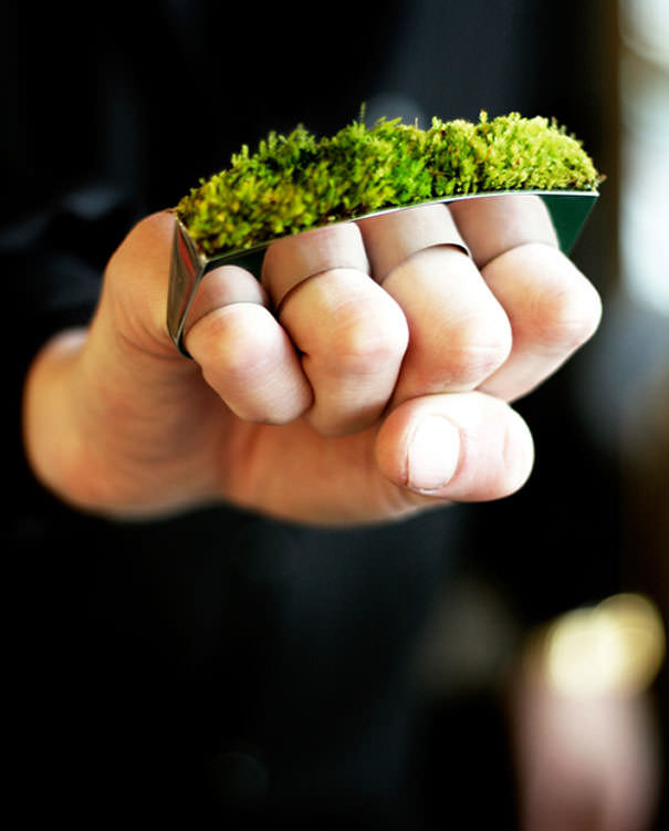 Зеленый кастет 26 зеленых дизайнерских идей, вдохновленных природой