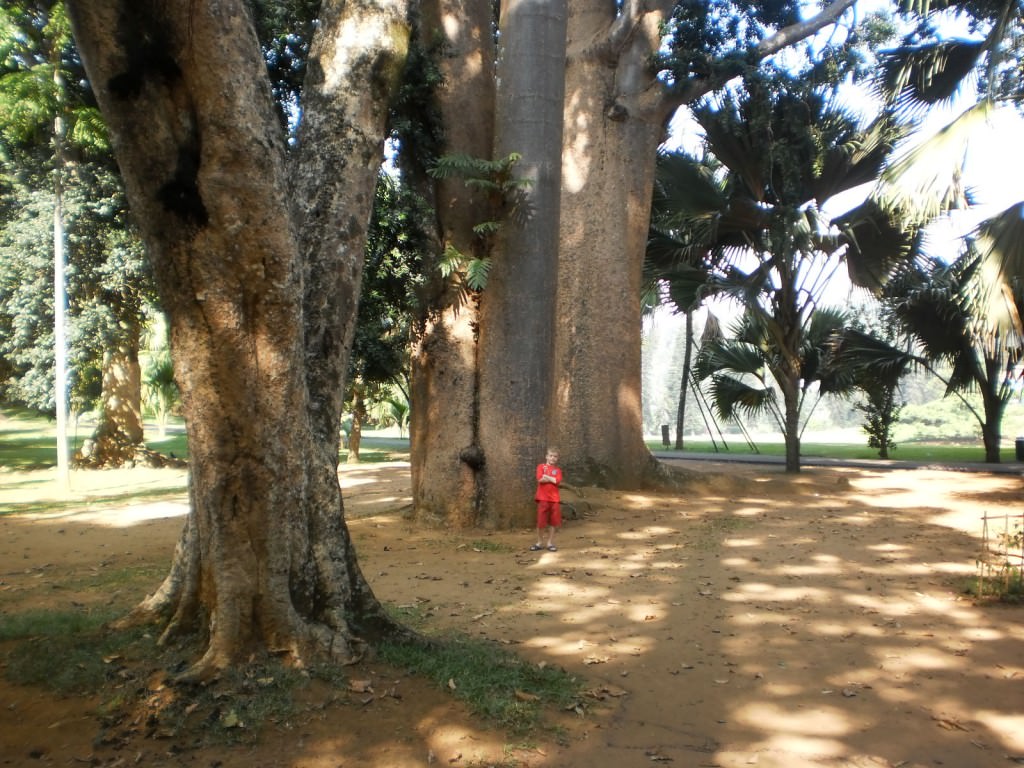 Природа Шри Ланки