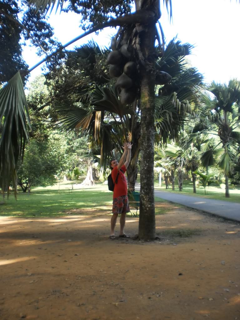 Природа Шри Ланки