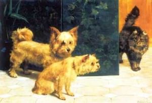 Животные с непривычной точки зрения