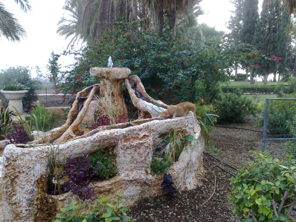 Салом де Израиль