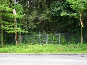 забор вокруг усадьбы Рокфелера